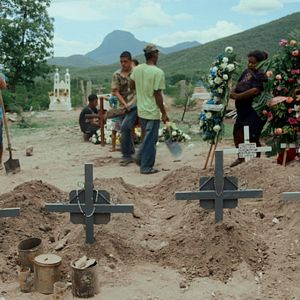 Foto Tierra de Cárteles