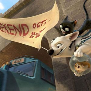 Foto Bolt: Un perro fuera de serie