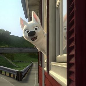Foto Bolt: Un perro fuera de serie