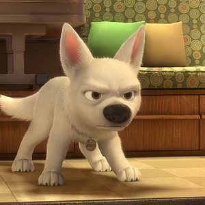 Foto Bolt: Un perro fuera de serie