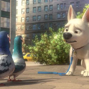 Foto Bolt: Un perro fuera de serie