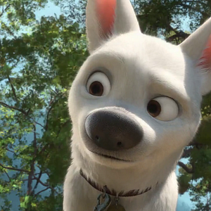 Foto Bolt: Un perro fuera de serie