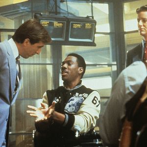 Foto Un detective suelto en Hollywood II