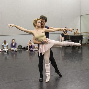 Foto Petals on the Wind