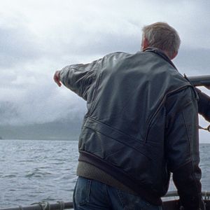 Foto Sparrows (Gorriones)