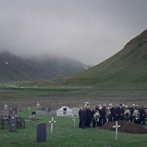 Foto Sparrows (Gorriones)