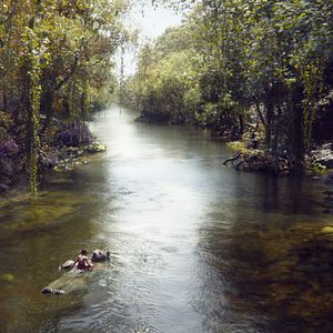 Foto El libro de la selva