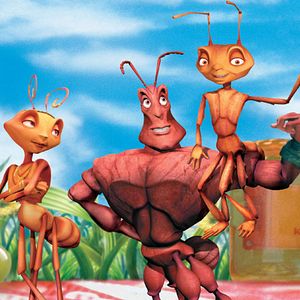 Foto Antz: Hormiguitaz