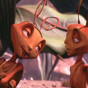 Foto Antz: Hormiguitaz