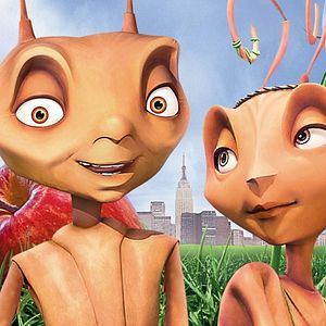 Foto Antz: Hormiguitaz