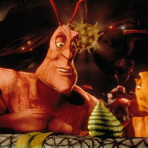 Foto Antz: Hormiguitaz