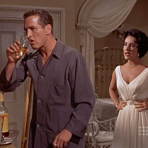 Foto La gata sobre el tejado de zinc