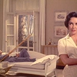 Foto La gata sobre el tejado de zinc