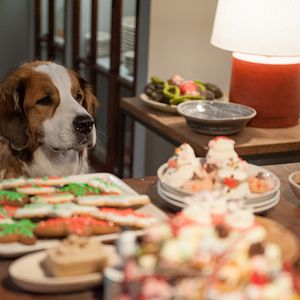 Foto Navidad con los Cooper