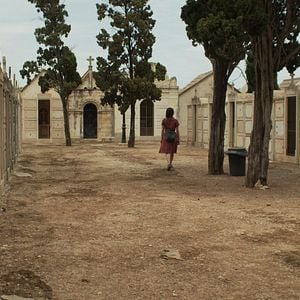 Foto Stephanie Petrowitz