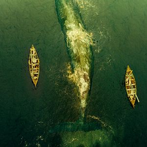 Foto En el corazón del mar