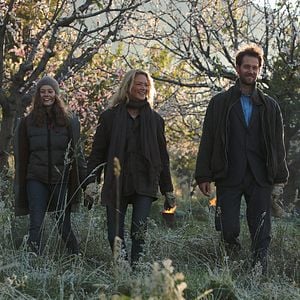 Foto Pastel de pera con lavanda