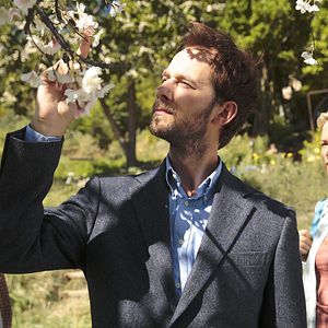 Foto Pastel de pera con lavanda