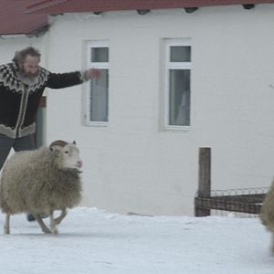 Foto Rams (El valle de los carneros)