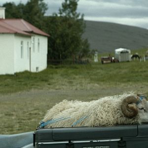 Foto Rams (El valle de los carneros)