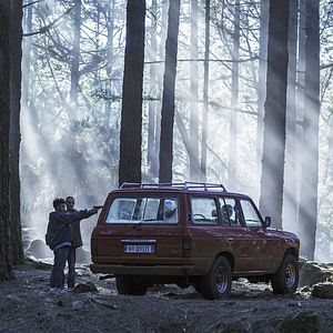 Foto No crezcas o morirás (Don't Grow Up)