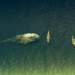 Foto En el corazón del mar