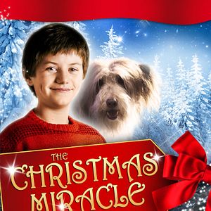 Foto The Christmas Miracle of Jonathan Toomey