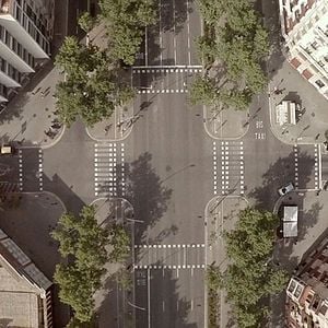 Foto Un día vi 10.000 elefantes