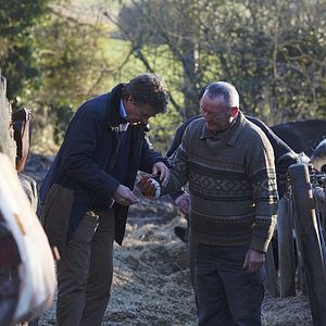 Foto Un amigo irremplazable