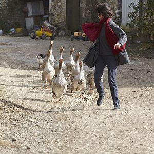 Foto Un amigo irremplazable