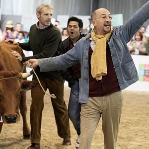 Foto No se metan con mi vaca