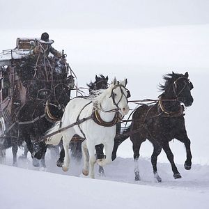 Foto Los 8 más odiados