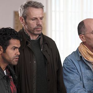 Foto No se metan con mi vaca