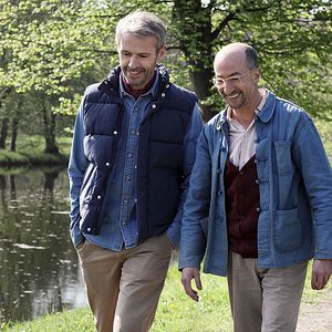 Foto No se metan con mi vaca