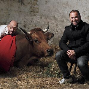 Foto No se metan con mi vaca