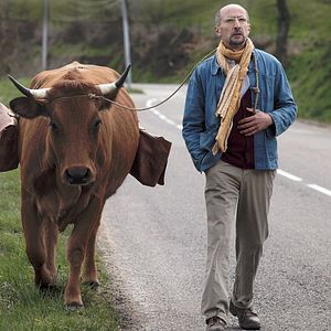 Foto No se metan con mi vaca