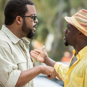 Foto Un novato en apuros 2