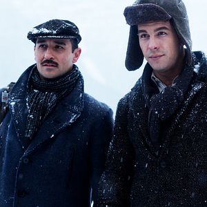 Foto Palmeras en la nieve