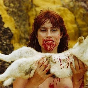 Foto Animal Político