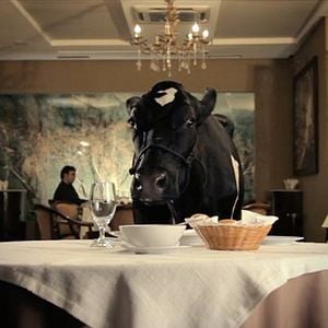 Foto Animal Político