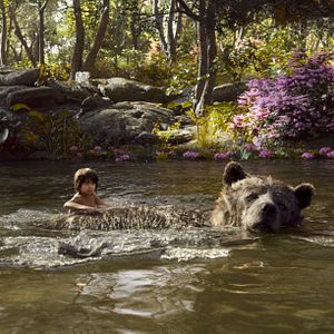Foto El libro de la selva