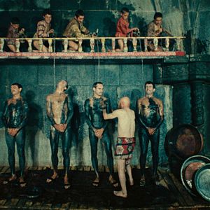 Foto The Color of Pomegranates