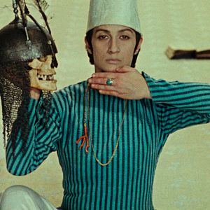 Foto The Color of Pomegranates