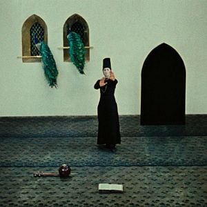 Foto The Color of Pomegranates