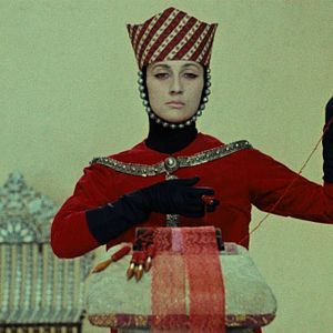 Foto The Color of Pomegranates