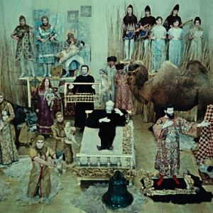 Foto The Color of Pomegranates