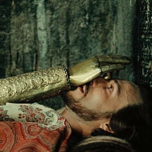 Foto The Color of Pomegranates