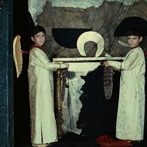 Foto The Color of Pomegranates