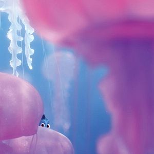 Foto Buscando a Dory