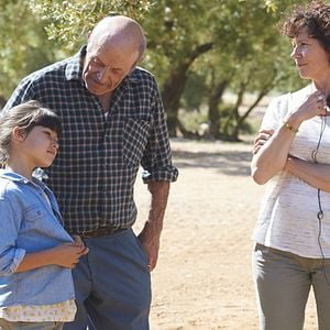 Foto El árbol del abuelo